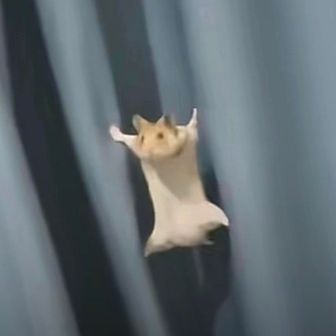 まろ
