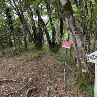大光山（おおぴっかりやま）。
び、じゃないんかい！！何その微かな違い！？