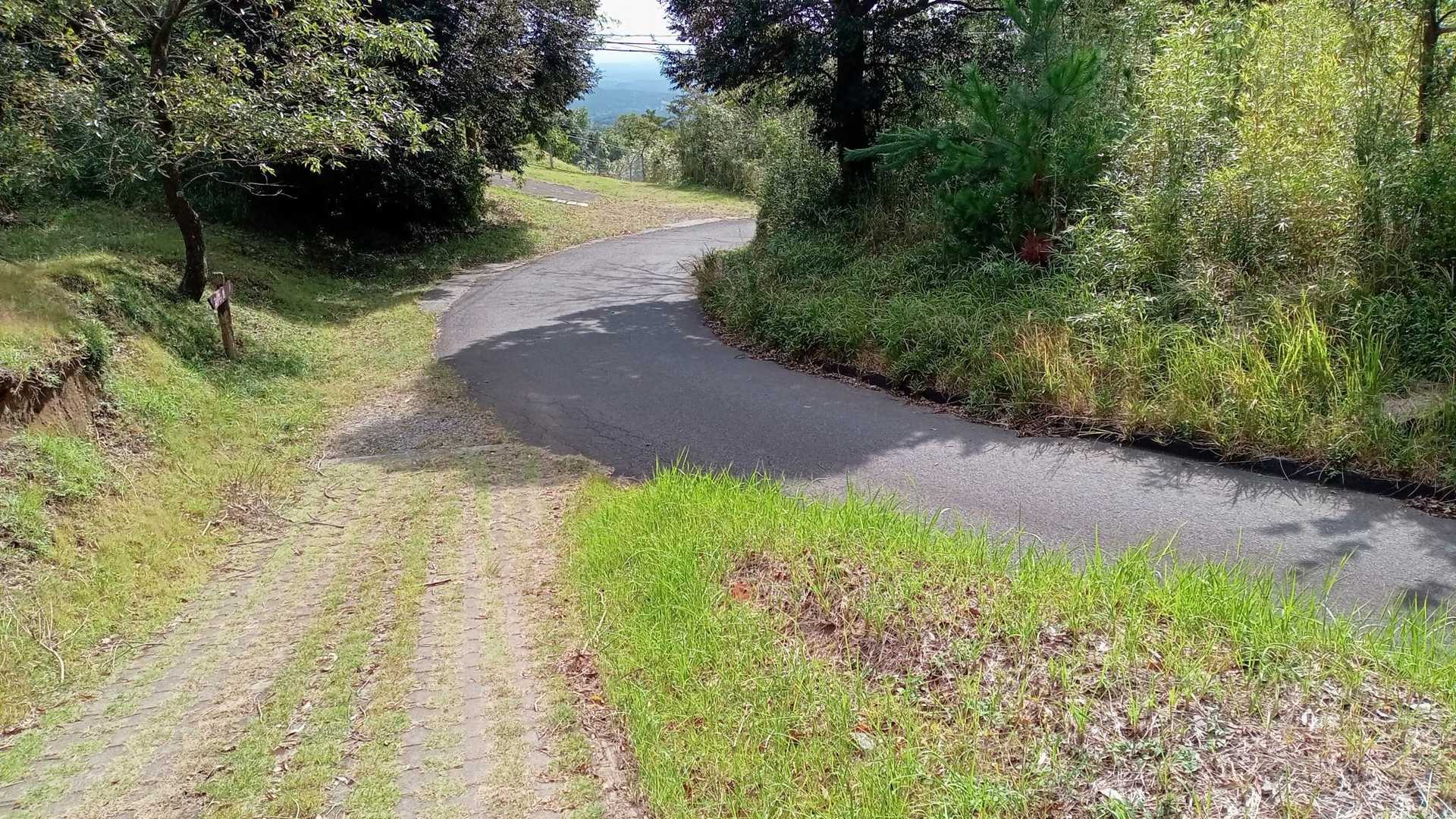 ここからは舗装路歩き