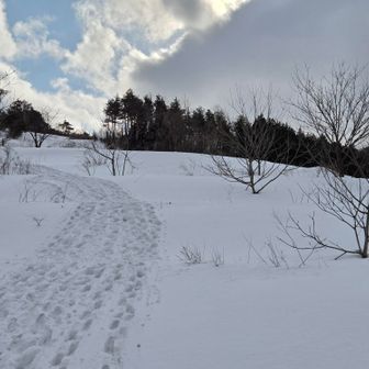 こんなトレース出来上がり(笑)