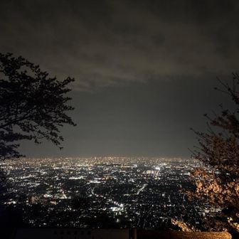 展望台からの眺望も良き良き。