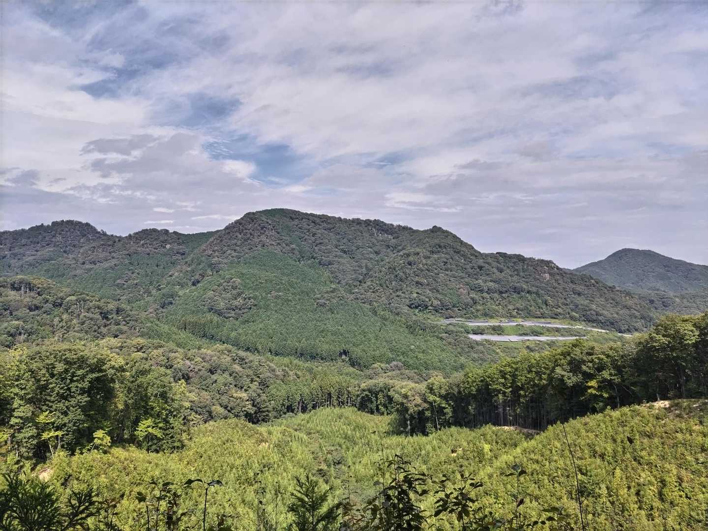 長倉山-鞍掛山-シゲト山-猪倉峠 周回コースの写真