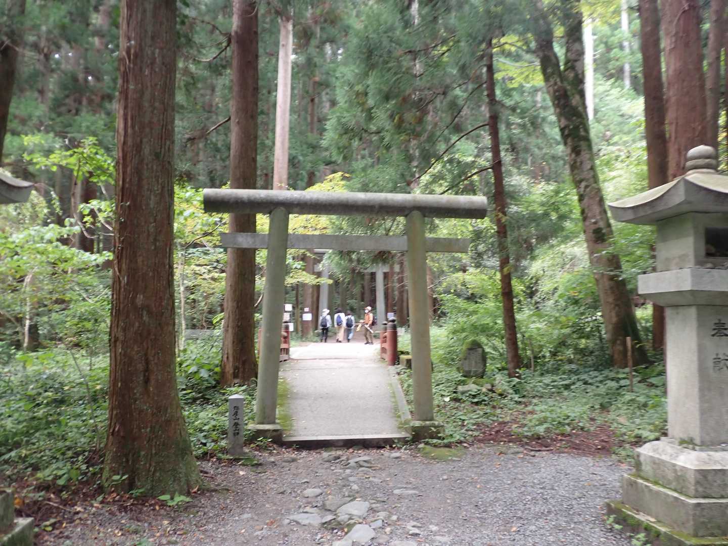 登山道スタート