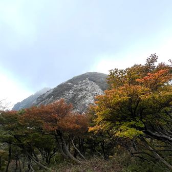 色づき始め🍁🍂