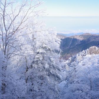 霧氷越しに西条の町
