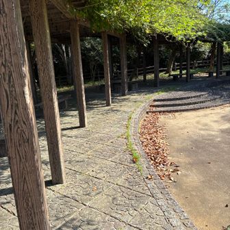 展望台に着いた