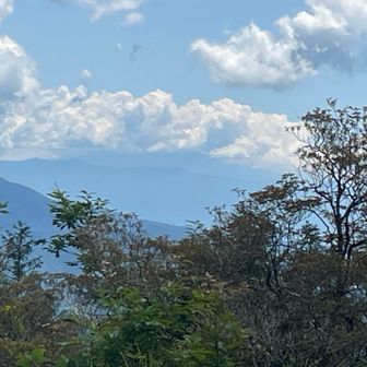 富士山はすでに雲の中でした。おつかれ山でした‼️