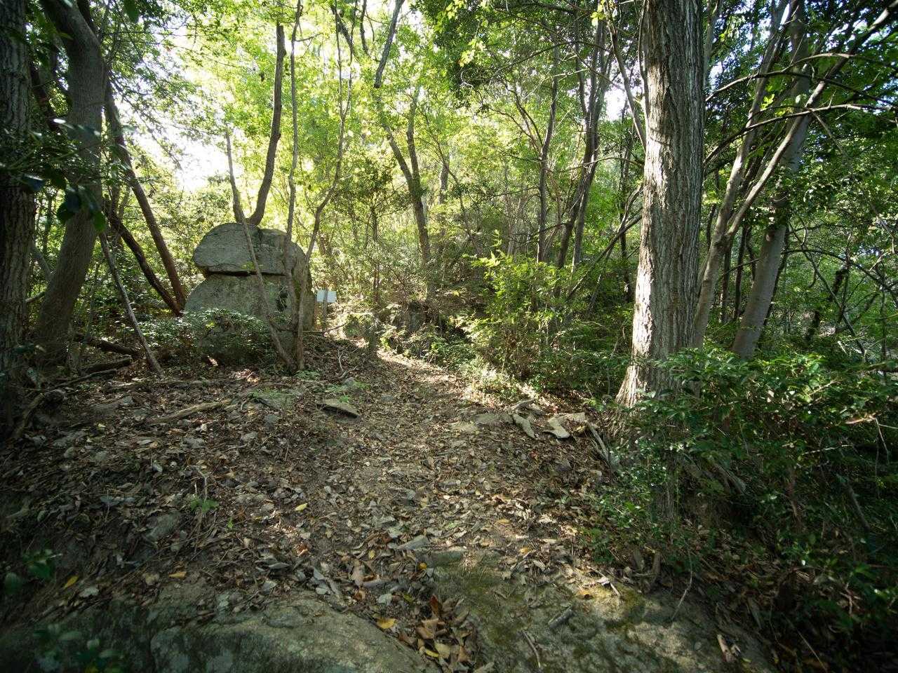 戦没者供養塔分岐。