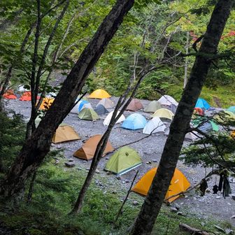 長衛小屋のテン場は賑わってました