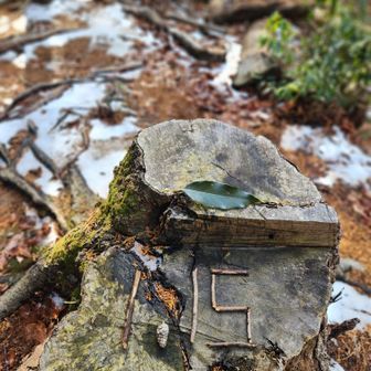 更新完了
ゆ－ちゃんさんと