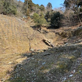 土砂崩れがあったようですね、