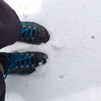 金剛山・二上山・大和葛城山 そこまで深くは積もってない
けど、それでもサクサクして
楽しい(*´艸`)