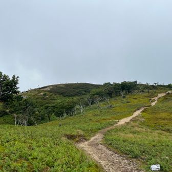 あ、うっかりショートカットしちまった
このまま帰ったら距離が足りねぇ😅