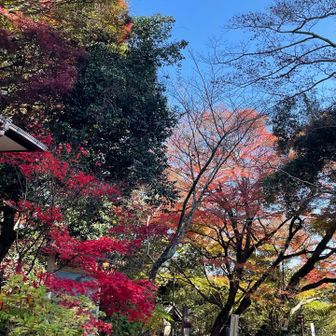 もう終わりなのか？と思ってだけど…