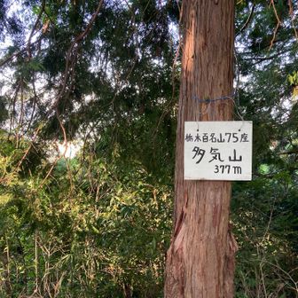 登頂