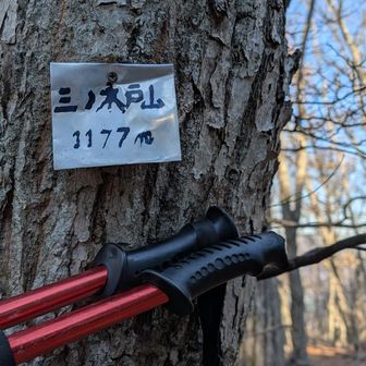 も1つ
これアルミ缶の再利用
前に別の場所で見たが裏見ると本麒麟って書いてありました😅