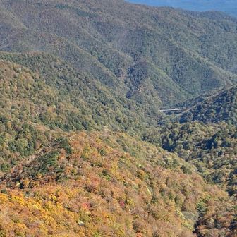 国道の橋が見える。