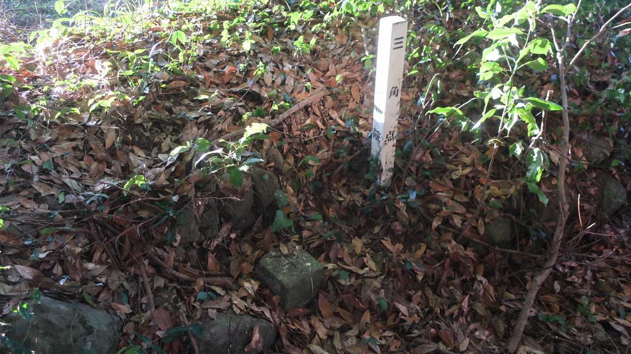 大島山三角点