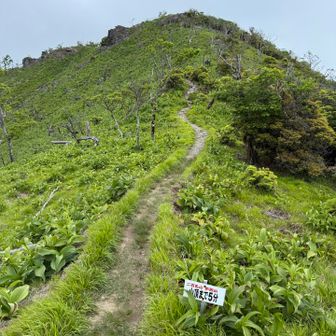 山頂まで5分
風が気持ち良いです😸