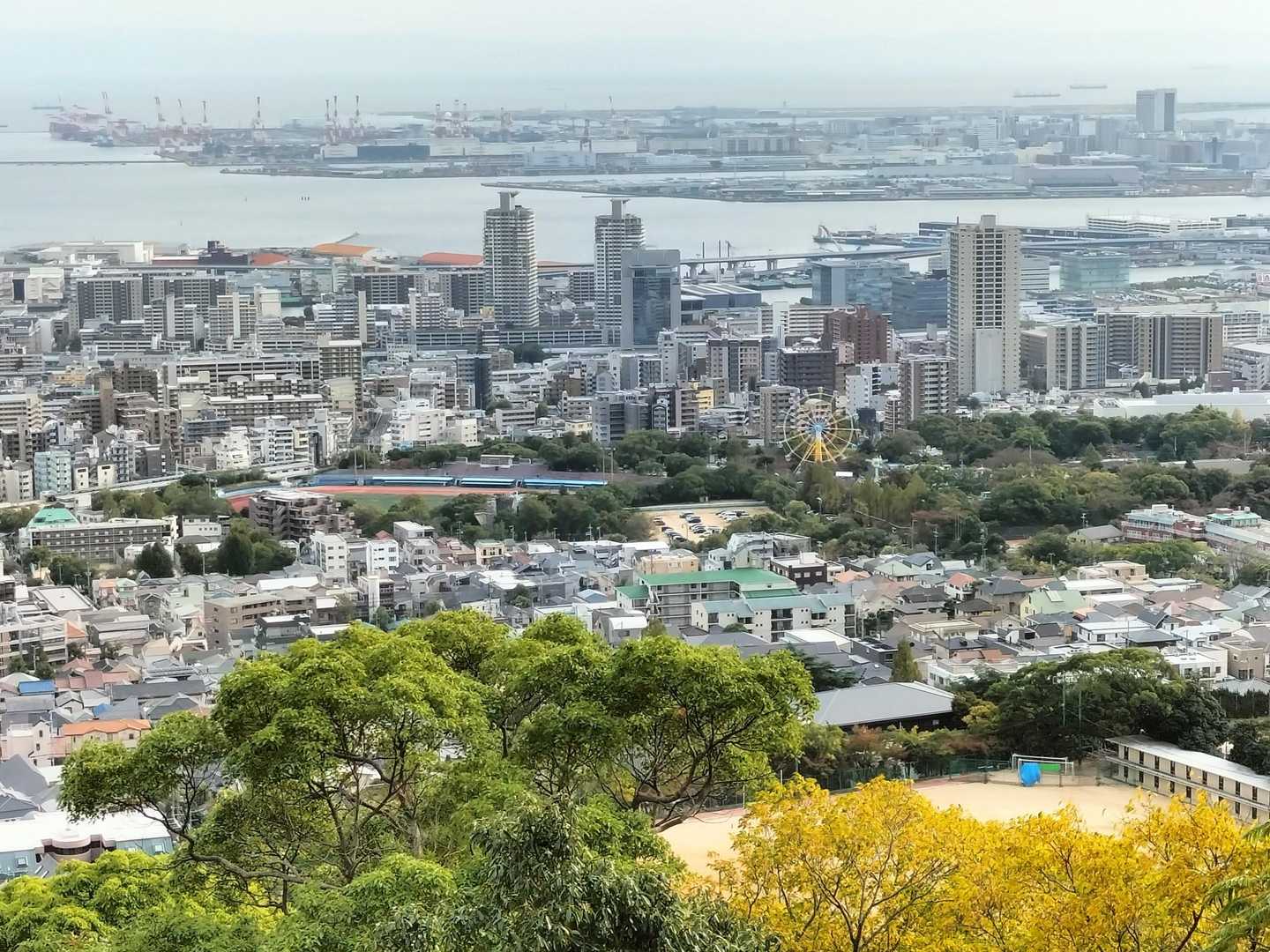 上野道での下山はちょいちょい眺望開けます✨