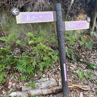 いろいろとコースがあるよう。
後半の神石山〜葦毛湿原までもいろいろ分岐が多く、地元の人はいろいろと楽しめそう😌