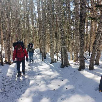 頑張れ〜😉👍🏻