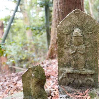 今年お会いするのは二回目です