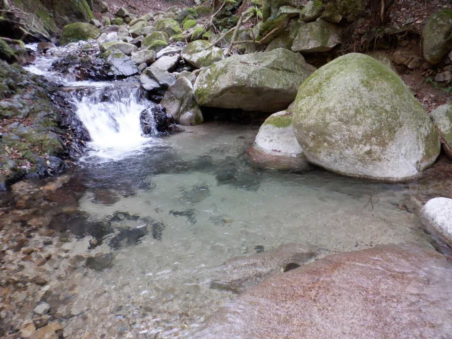 綺麗な沢
この下流で渡渉します。