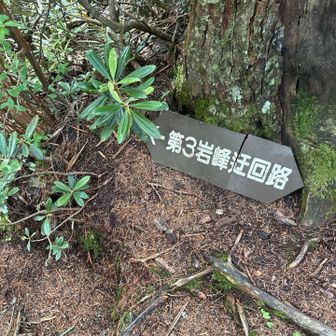 各心部の下りは危ないので迂回路で行きました
