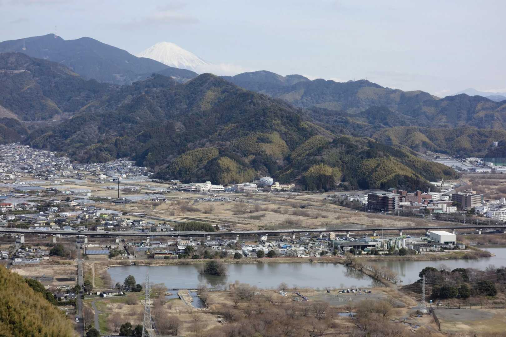 手前の池ではレンコンを栽培してます

尾根の奥に ちょこんと富士山