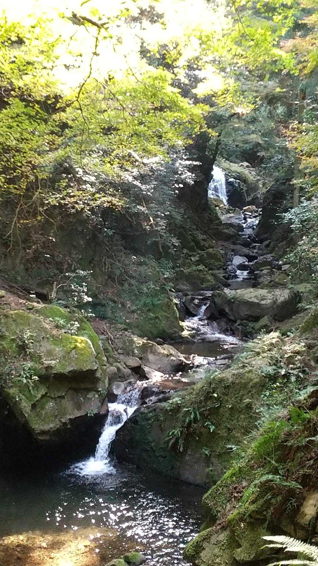 あちこちに滝と水場あり