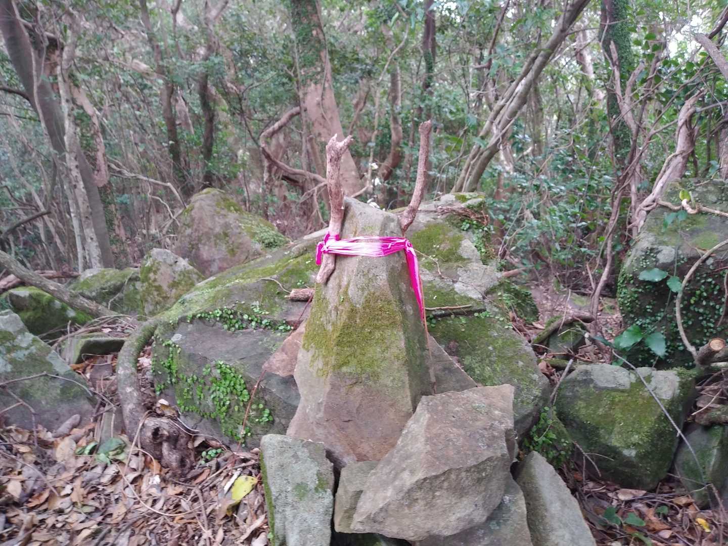 これは何だ？2本の角？はは～ん、恐らく尊牛山になぞった牛のアートだな😀。どなたの作かはわからぬが、遊び心に溢れた素晴らしいアートだ。こういうの、好きだなぁ…
休憩もそこそこに次へと進む。