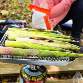 以前職場で一緒に働いた戦友とお昼ランチw
湯殿山直売所でゲットした月山筍を焼いておもてなしw

これがまたうめーーーーw