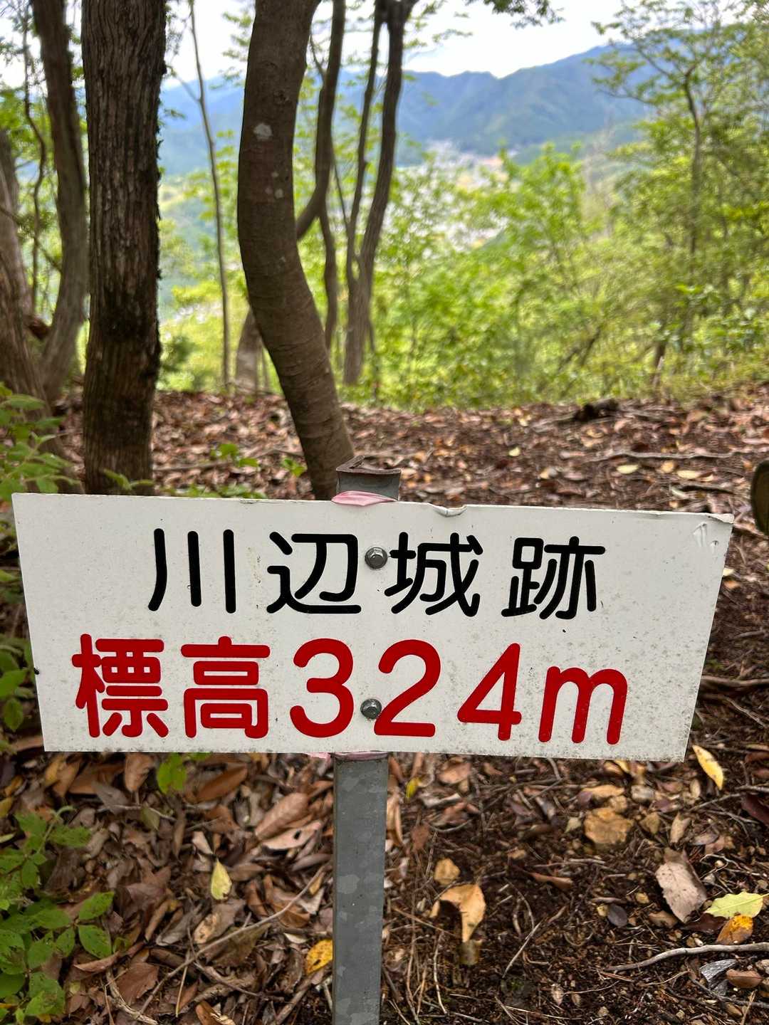 川辺城跡登り口-城山 往復コースの写真