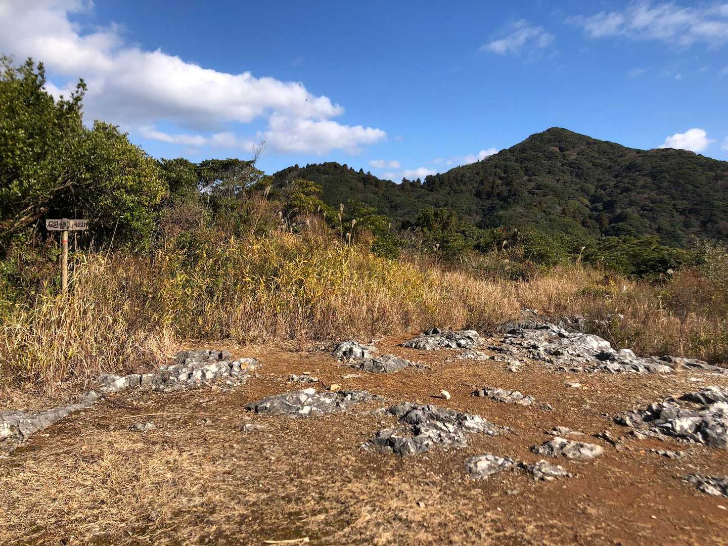 砲台山山頂は眺望なし〜