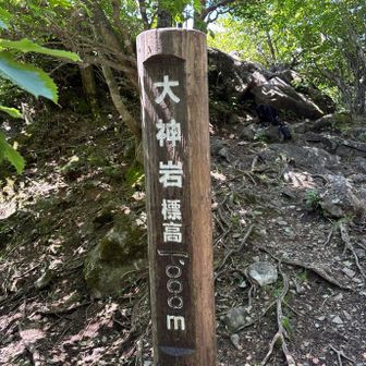 大神岩🪨標高1000mまで来ました。