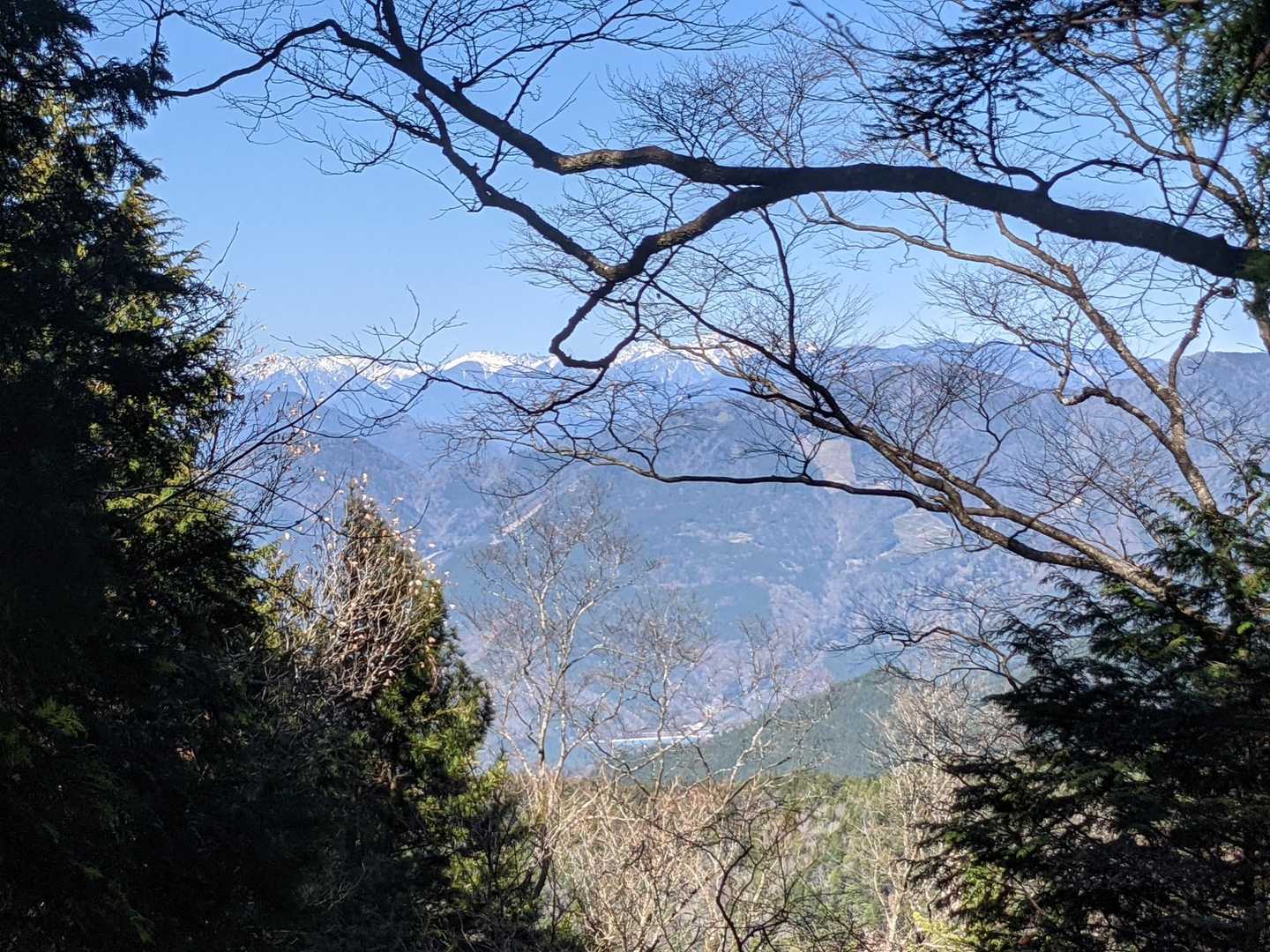 木の隙間から中央アルプス🏔