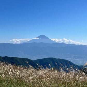 お昼休憩中、雲に隠れる事なく姿を見せ続けてくれた富士山🗻
シンメトリーなこの形、美し過ぎる✨✨