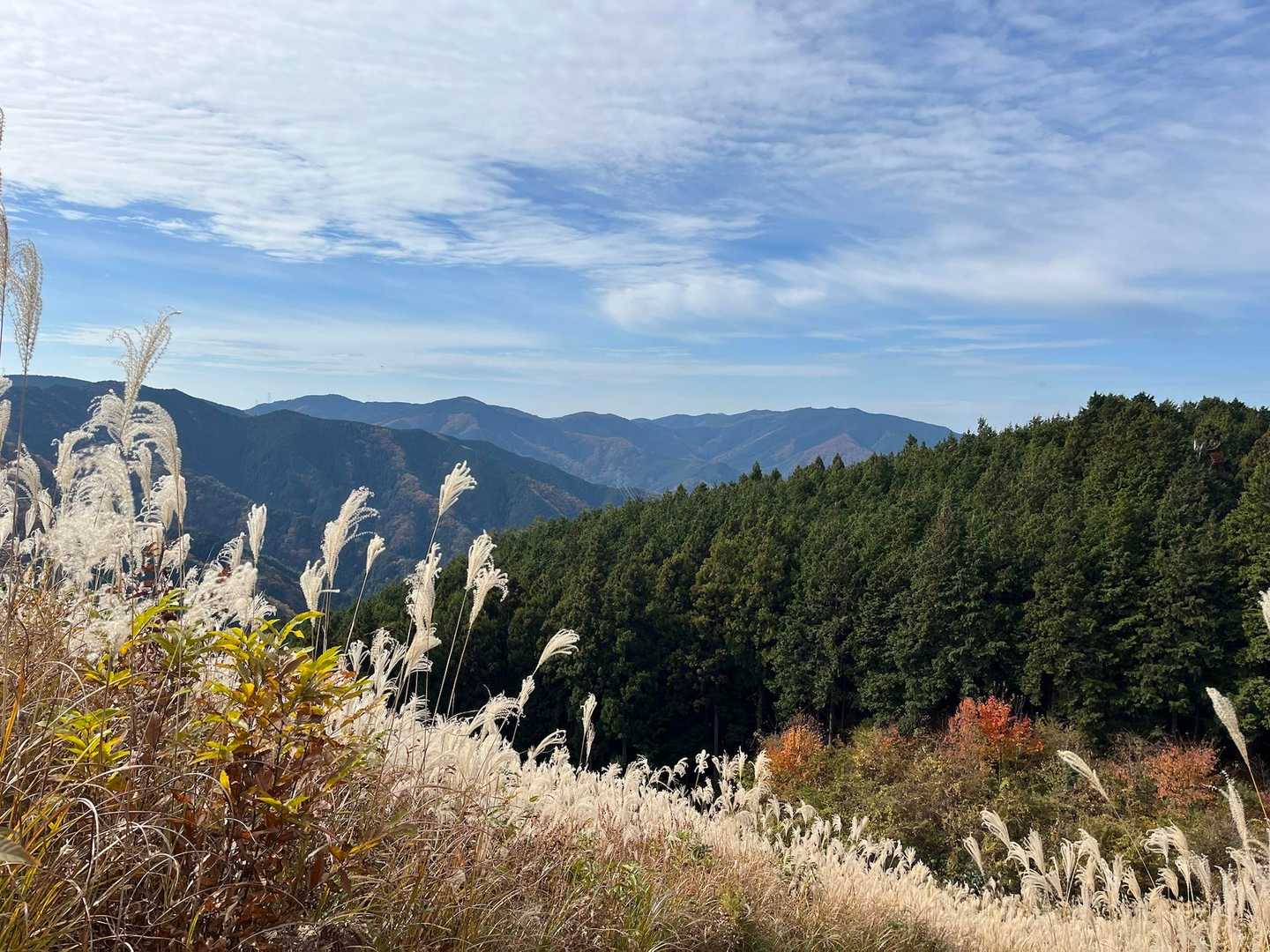 滝畑ダムバス停-滝畑登山口-岩湧山-紀見峠駅 縦走コースの写真
