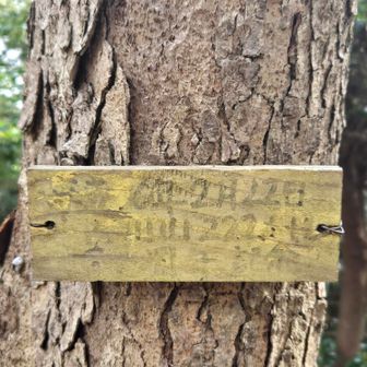 5座目
古川山(読めないね)