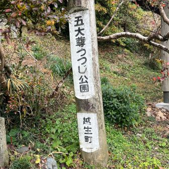 ここからスタート