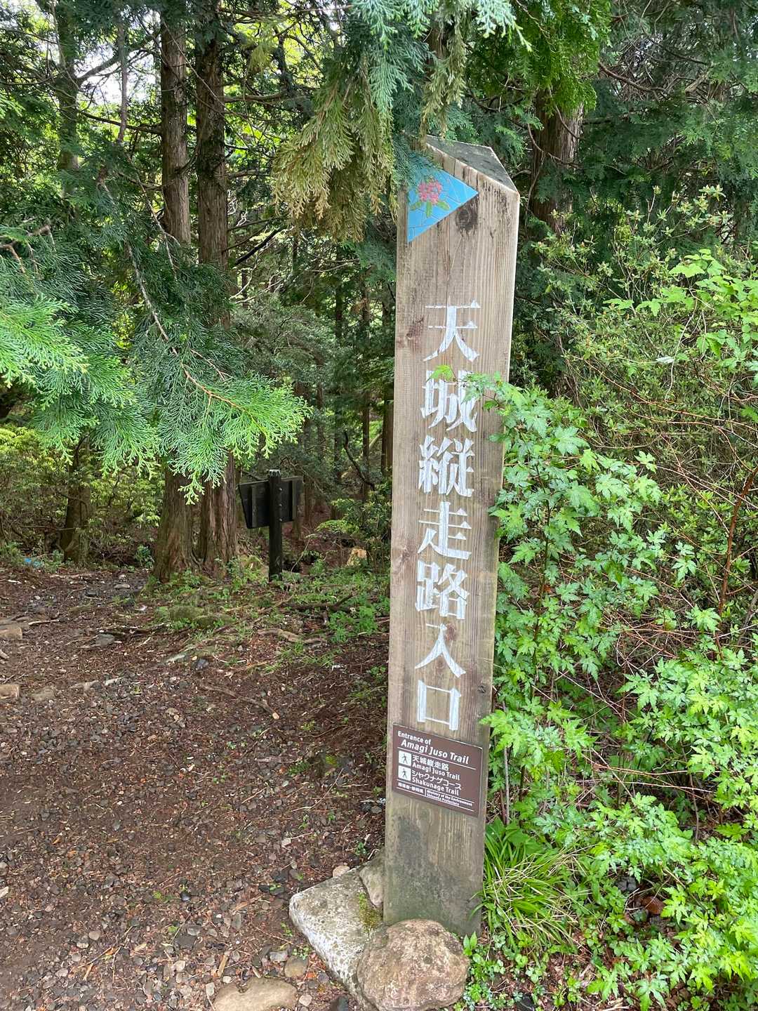 行けるかどうか、この時点では半々くらいの気持ち。