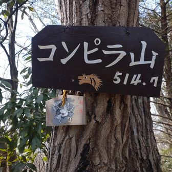 コンピラ山
テーブル、イスとリュック掛けがあります