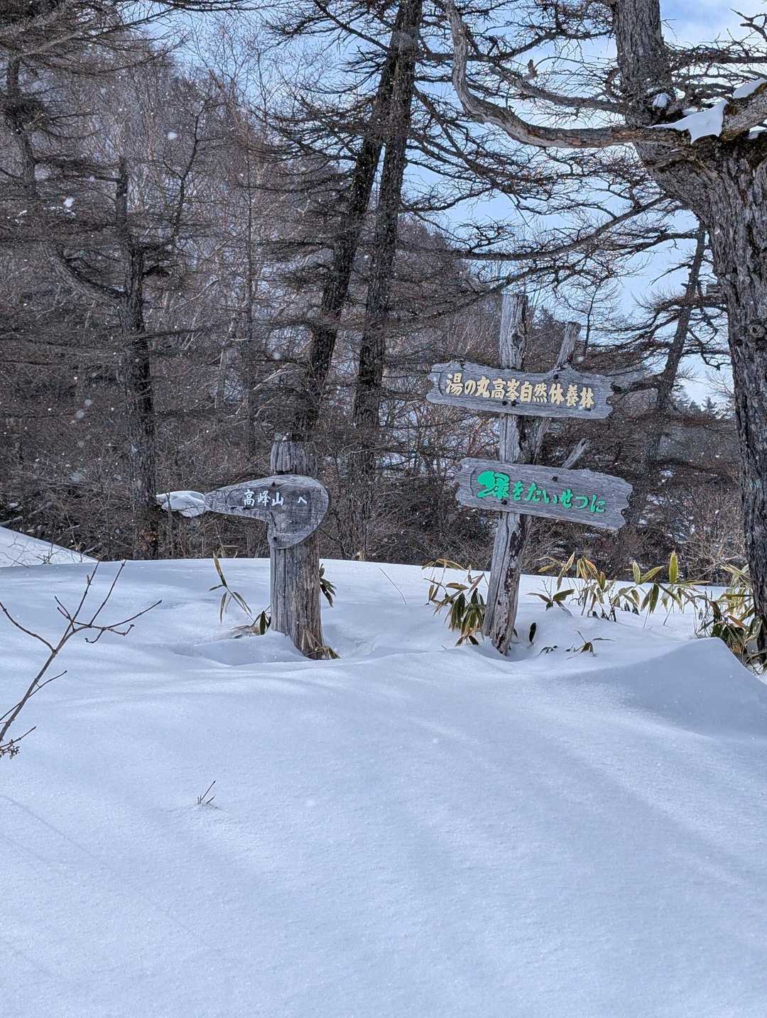 高峰温泉バス停-高峰神社-高峯山 往復コースの写真