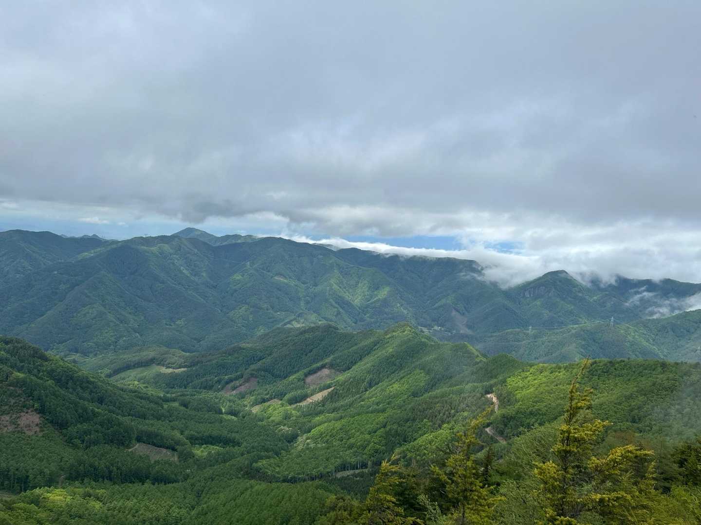 途中のガケで休憩☕️緑が深いっすね〜🌲