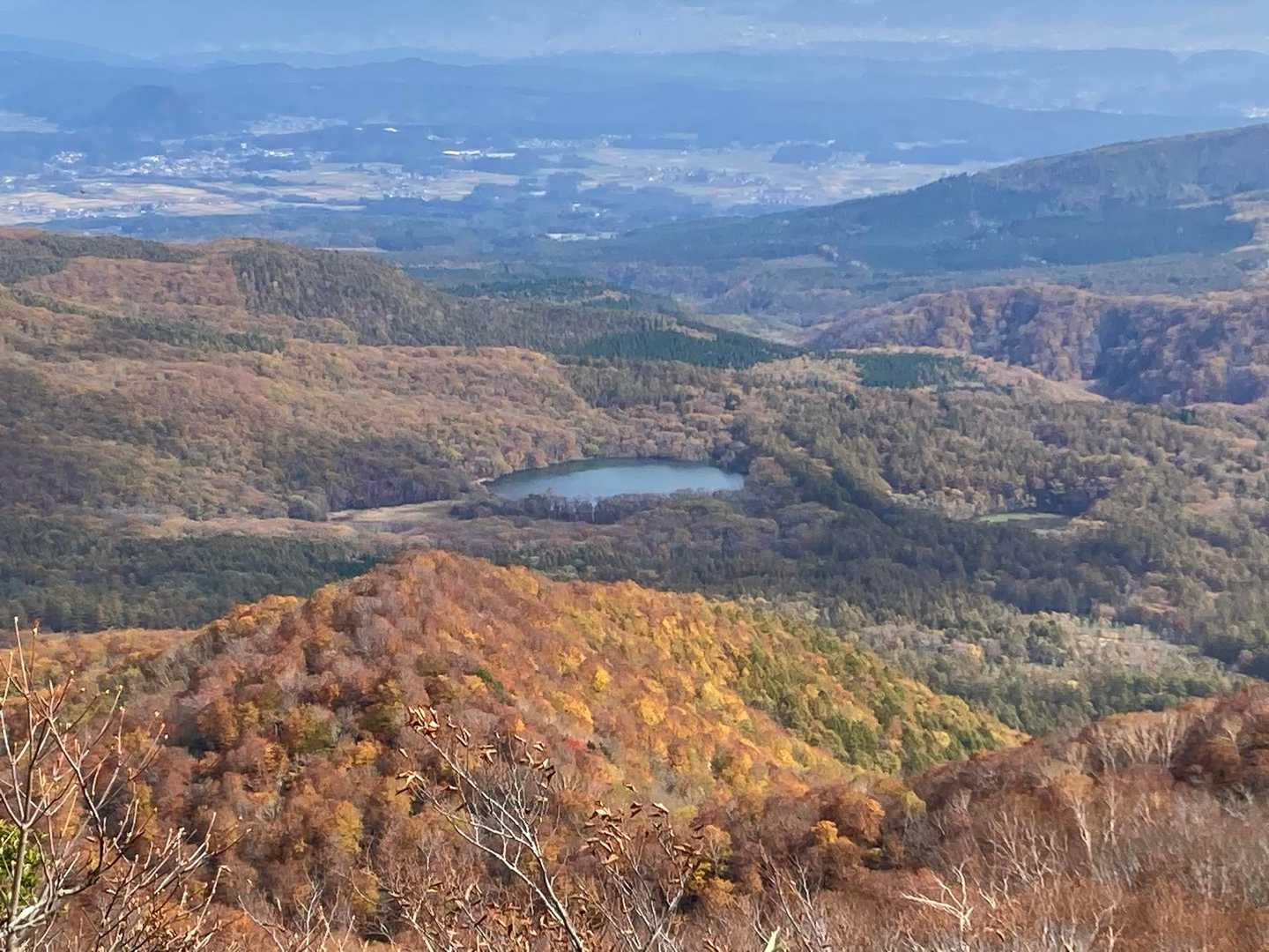 古池の手間の紅葉に陽が当たり
美しい黄色に