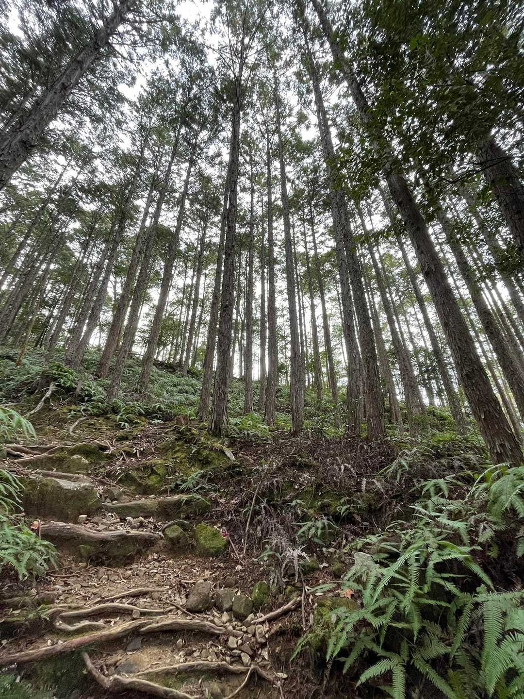 たゆまぬ登り