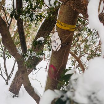 1つ目のピークは眺望なし