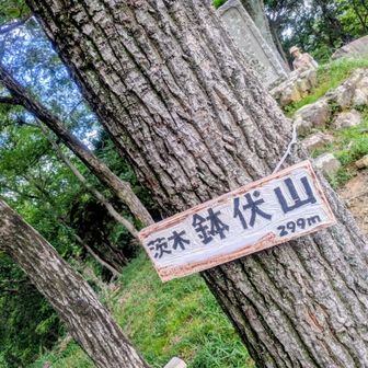 登頂