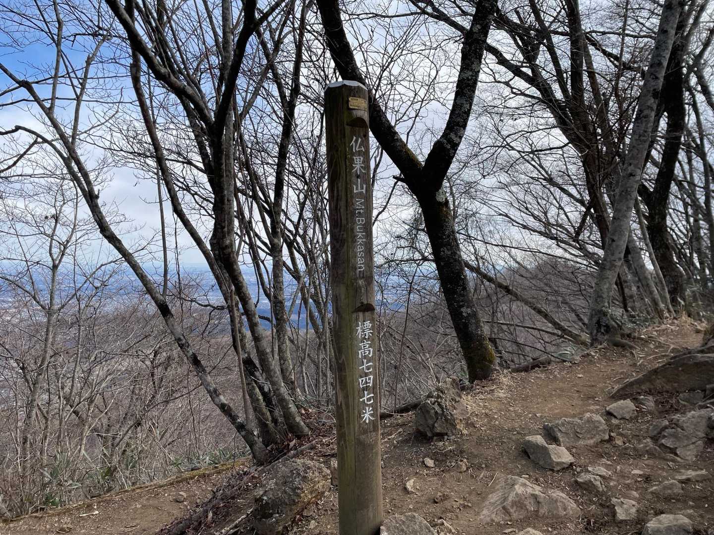最近、高所恐怖症が酷くて展望台も登らず。宮ヶ瀬越までの下りも怖い。